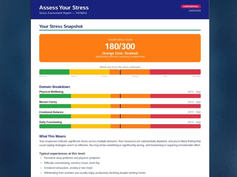 Example personalised PDF stress report